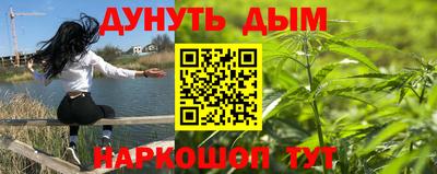 сатива Бузулук