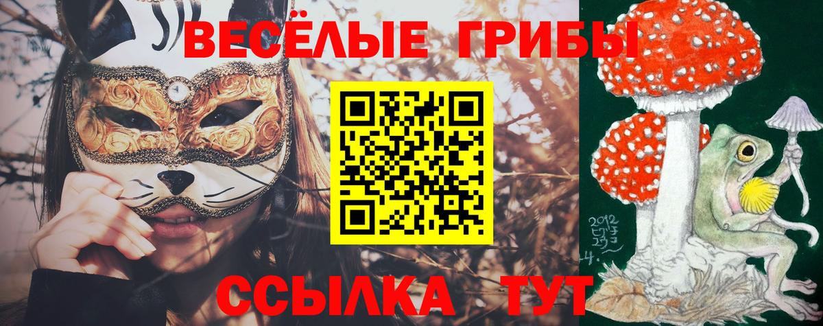 Галлюциногенные грибы MAGIC MUSHROOMS Томск